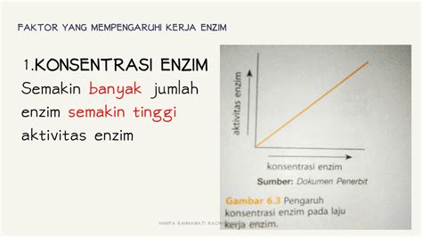 Konsentrasi Enzim Dan Substrat YouTube