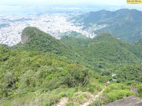 Hiking Tours to Tijuca Forest National Park, Tijuca Peak, Rio de ...