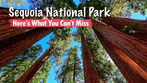 Things To Do In Sequoia National Park California Usa Youtube