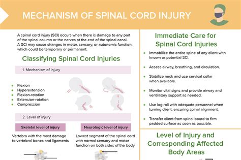 Spinal Cord Injury: Levels [+ Free Cheat Sheet] | Lecturio