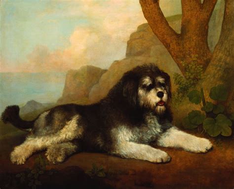 Museum Dogs — George Stubbs British 17241806 A Rough Dog