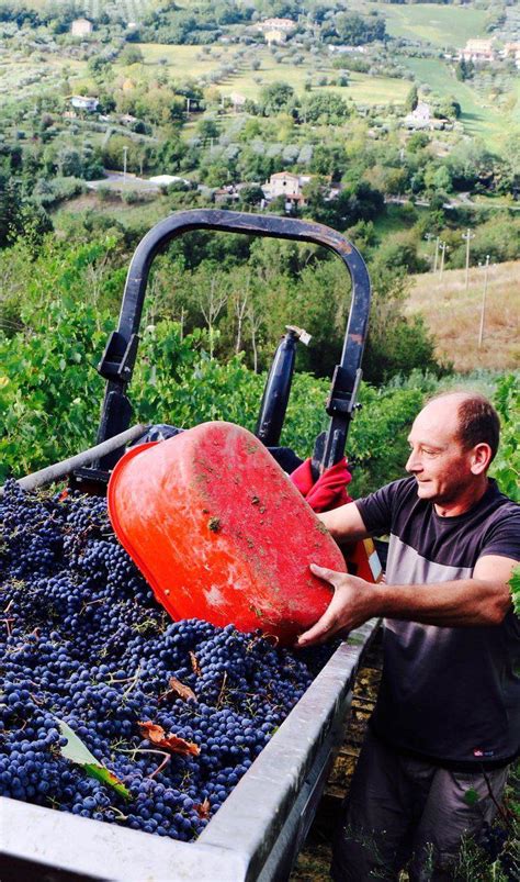 Ama Aquilone sarà presente al Vinitaly Messaggio di condivisione