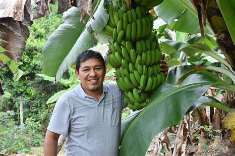 Necesitamos Ingenieros Agrónomos Innovadores Diario Voces