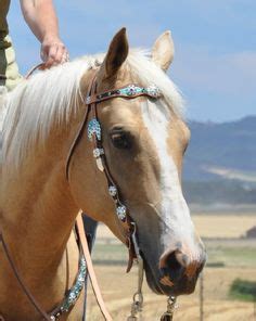 27 Headstalls ideas | headstall, bling tack, horse tack