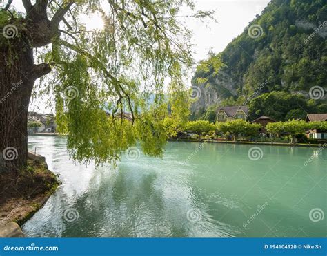 Willow tree by the river stock photo. Image of vacation - 194104920