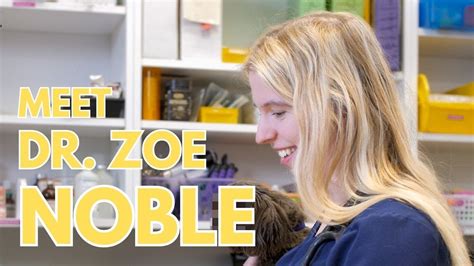 Meet Dr Zoe Noble Of I Care Veterinary Hospital Youtube