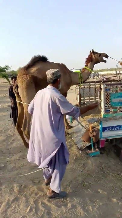 ro gay  cht okt bt chlan ky aoazy ary  youtube