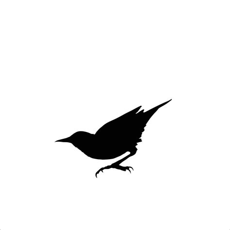 Bird silhouette vector 34543748 Vector Art at Vecteezy