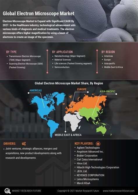 Infographics Electron Microscope Market Size Share Industry Report