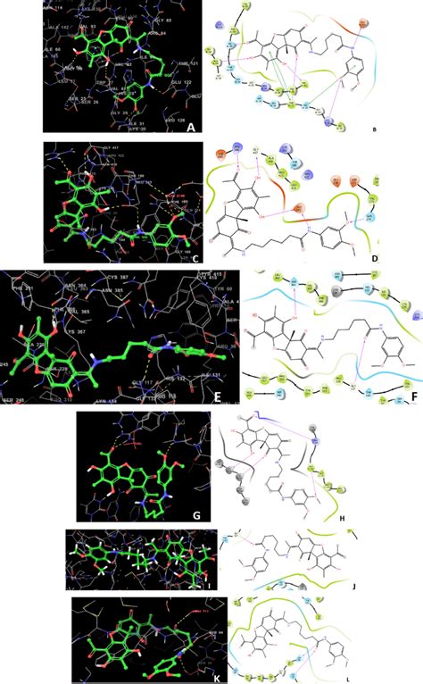 3d And 2d Docking Poses And Binding Interactions Respectively Of