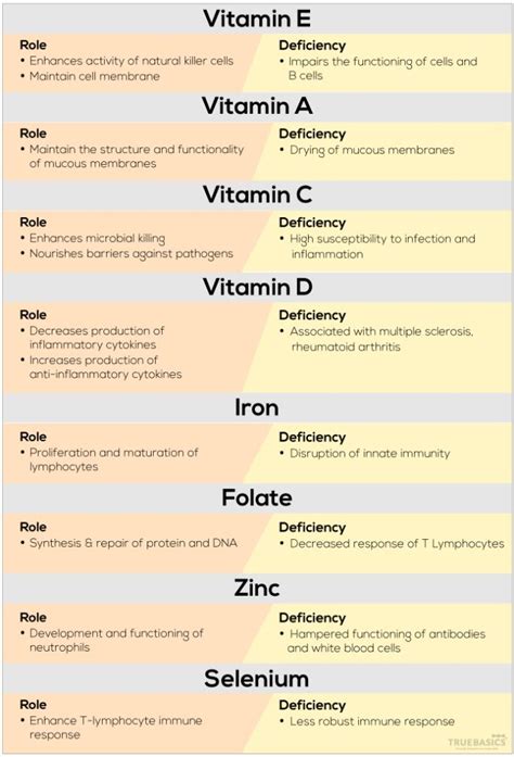 Key Vitamins & Minerals to Improve the Immunity - Truebasics Blog