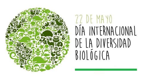 Día Internacional De La Diversidad Biológica Enfoque Noticias