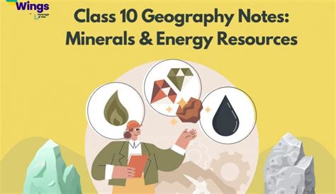 Class 11 Photosynthesis In Higher Plants NCERT Notes Leverage Edu