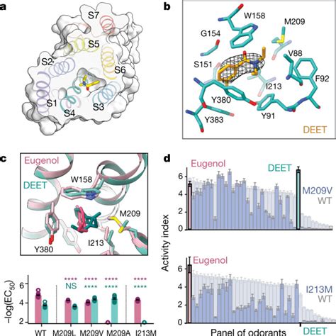 The Structural Basis Of Odorant Recognition In Insect Olfactory