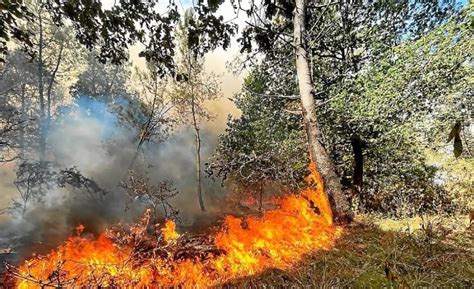 Incendie Dans La Forêt De Brocéliande La Progression Des Flammes En