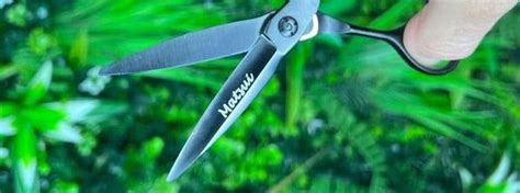 How To Tell If Your Hair Shears Need Sharpening - Scissor Tech USA