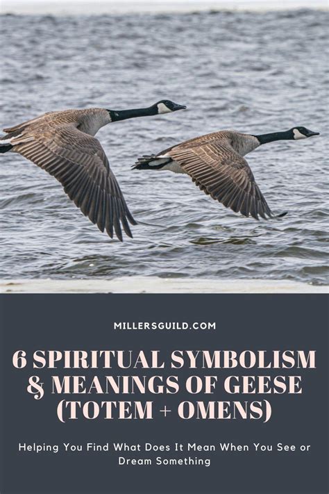 Spiritual Meaning Of Canadian Geese Churchgists