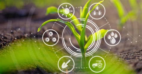 Exploring The Future Of Digital Agriculture