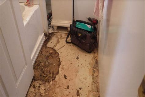 Sewage Damage Cleanup L 24 7 Sewage Restoration L PRS