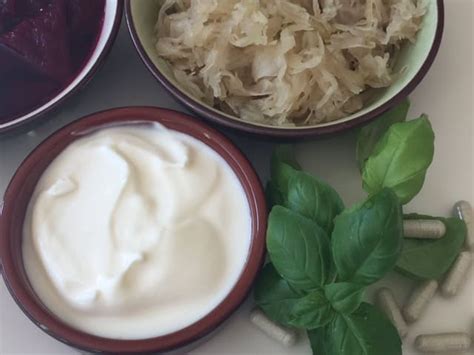Probiotics and Antibiotic-Associated Diarrhea - Digicult - Creating Results