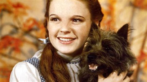 Judy Garland Le Magicien D Oz Marteko