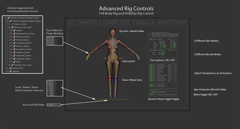 Anatomy 3d Model Turbosquid 1338967