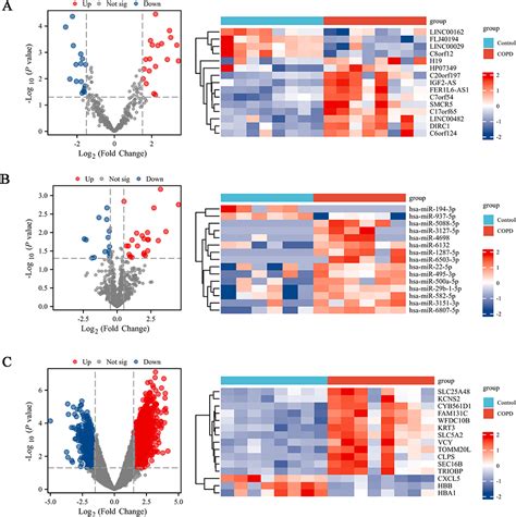 Cerna Network In Pbmcs Of Copd Copd