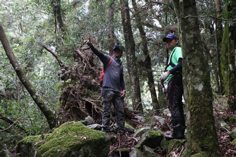 起薪26k，靠辣椒水、山刀搏命，紀錄片《森林護衛隊》要幫護管員發聲爭權益 農傳媒