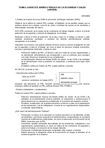 Tema Aspectos Juridicos Pdf