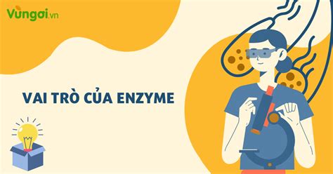 Lý thuyết vai trò của enzyme sinh học 10