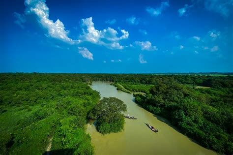 Ratargul Swamp Forest Sylhet - Travel Guide to Enjoy Ratargul