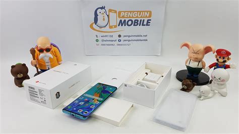 Penguin Mobile Huawei P30 Pro Rom 256 Ram 8 สี Aurora