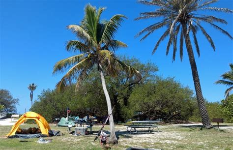 Everything You Need to Know About Camping at Florida’s Dry Tortugas ...