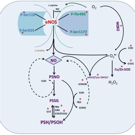 Mechanism Of Protein Deglutathionylation Catalyzed By Glutaredoxin