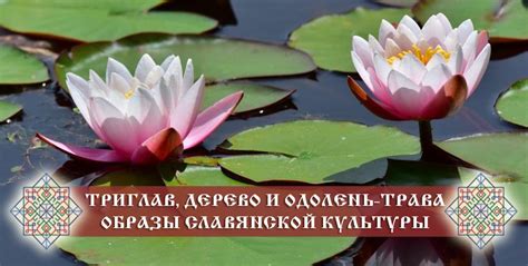 Славянский Триглав, Дерево и Одолень-трава — 3 образа