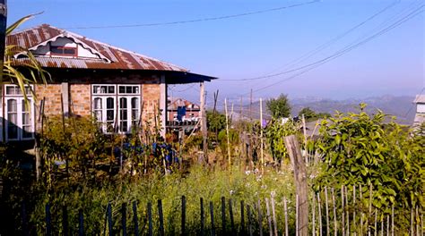 home garden gsap skills  knowledge platform