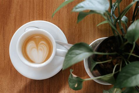 Products – Legend Coffee and Culture