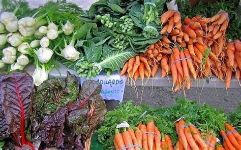 Cool Weather Vegetable Plantings