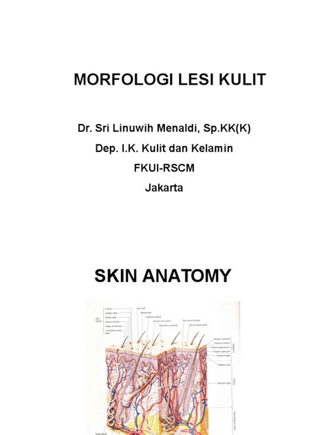 Morfologi Lesi Kulit Pdf