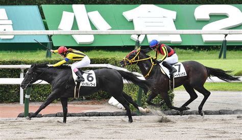 永島まなみ騎手が今年jra・24勝目 ダート替わりのイーグルノワールで勝利／小倉2r 2歳馬特集 競馬写真ニュース 日刊スポーツ