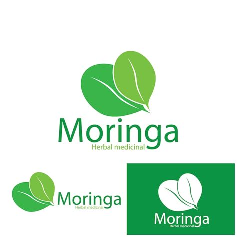 Premium Vector Moringa Leaves Icon Vector Illustration Template Design