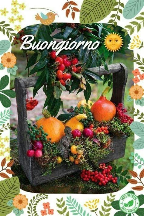 Pin Di Thersa Cooper Su Italian Blog Buongiorno Auguri Di Buongiorno