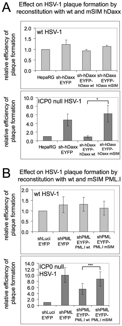 The SIMs Of PML And HDaxx Are Required For Repression Of ICP0 Null