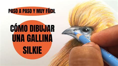 C Mo Dibujar Una Gallina Silkie O Gallina Sedosa De Jap N Realista Paso