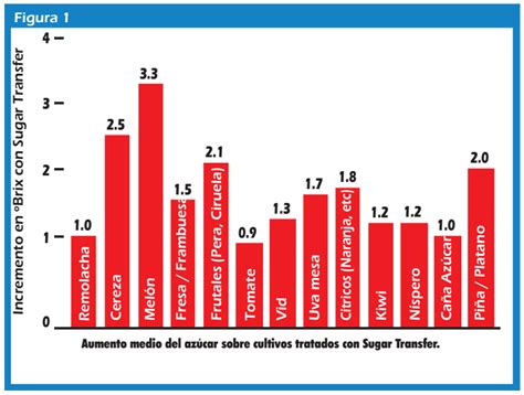Que Importancia Tienen Los Grados Brix En La Fruta Y Que Son Los