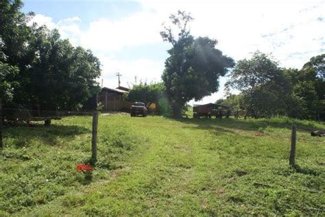 FAZENDA DUPLA APTIDÃO À VENDA EM DOM AQUINO MT Fazendas Mato Grosso