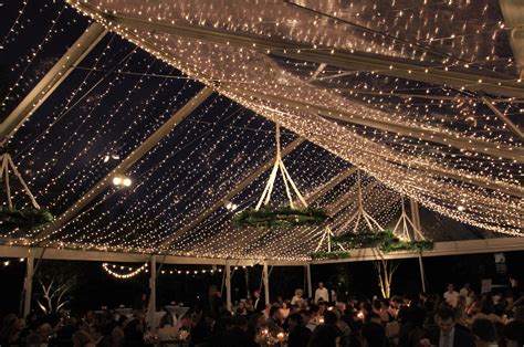 Get Lit Event Lighting, twinkle light ceiling, 20" spacing, market ...