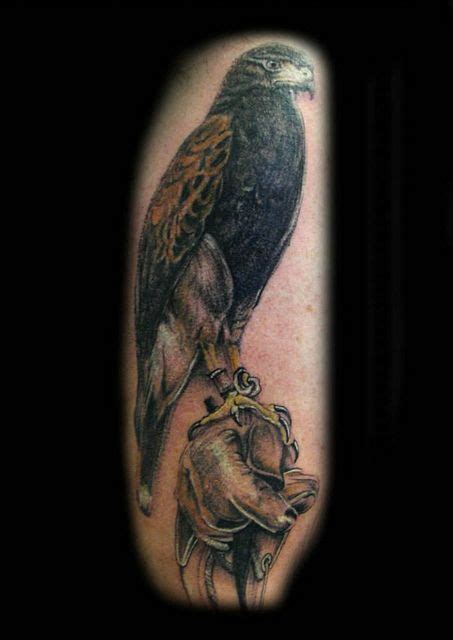 Harris Hawk bird glove tattoo by Ray Tutty | Tattoos, Cool small ...