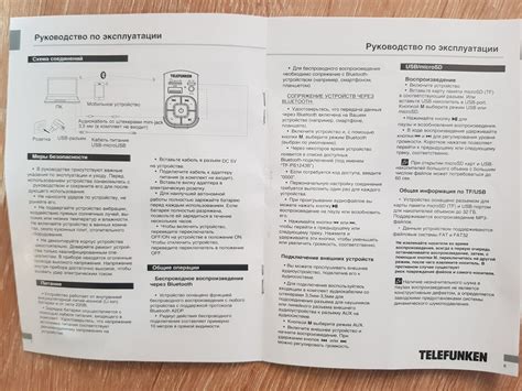 Портативная акустическая система Telefunken TF-PS1243B, черный — купить ...
