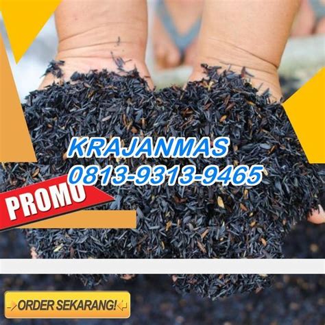 0877 3788 6788 Tempat Jual Arang Sekam Padi Lingga Sabut